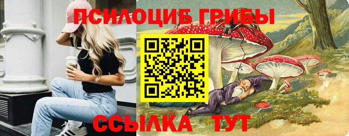 Псилоцибиновые грибы прущие грибы  Вход с VPN  где купить наркоту  Красноярск 